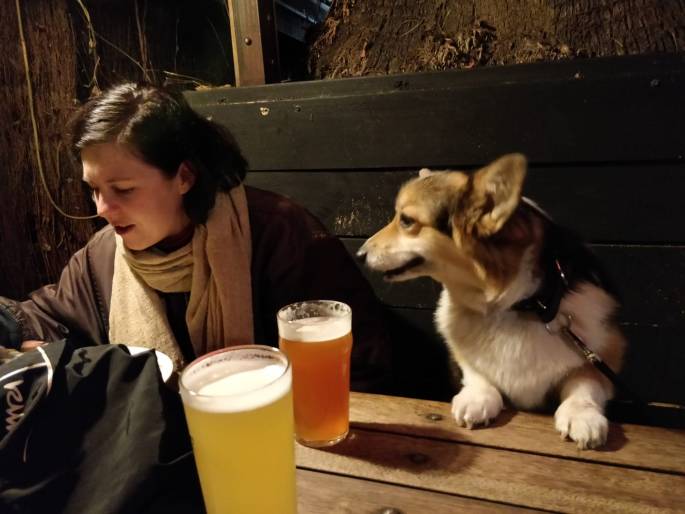 c38b7e95-e7c7-41cc-af58-7169d5995644