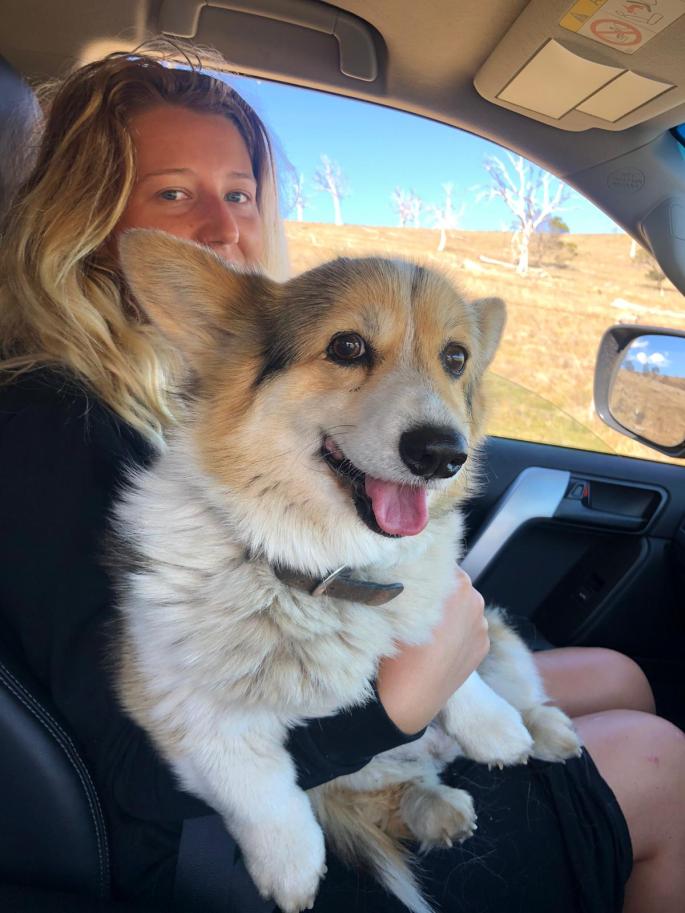 a5a199ff-d294-41c8-9752-897e7fe6e49f