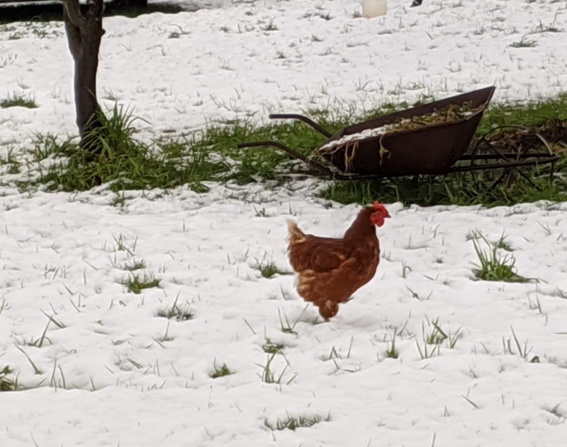 faf5fc07-22c8-491e-afd1-364a3becf2b1